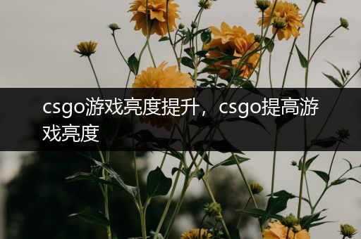 csgo游戏亮度提升，csgo提高游戏亮度