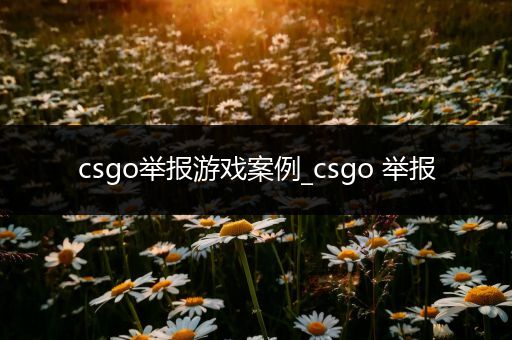 csgo举报游戏案例_csgo 举报