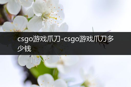 csgo游戏爪刀-csgo游戏爪刀多少钱