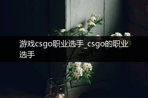 游戏csgo职业选手_csgo的职业选手