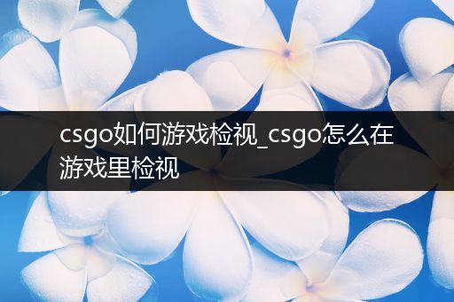 csgo如何游戏检视_csgo怎么在游戏里检视