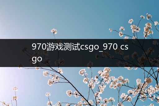 970游戏测试csgo_970 csgo