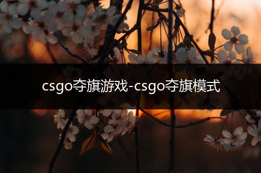 csgo夺旗游戏-csgo夺旗模式