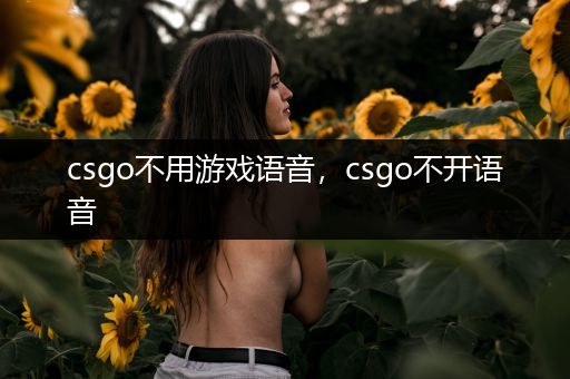 csgo不用游戏语音，csgo不开语音