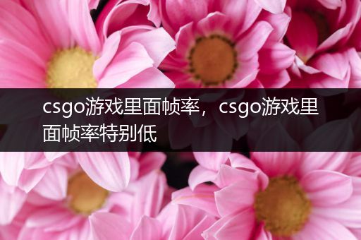 csgo游戏里面帧率，csgo游戏里面帧率特别低