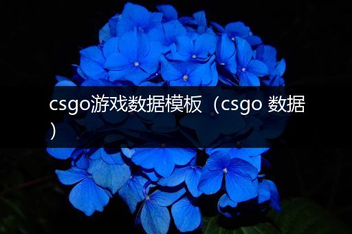 csgo游戏数据模板（csgo 数据）