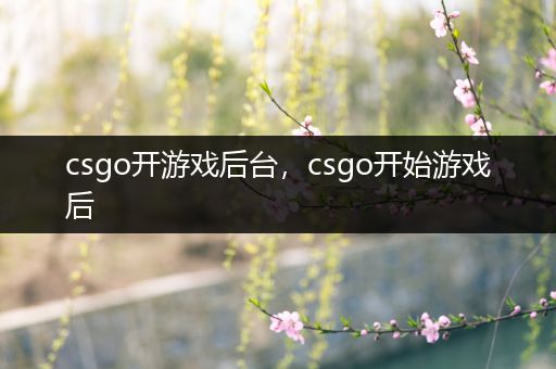 csgo开游戏后台，csgo开始游戏后