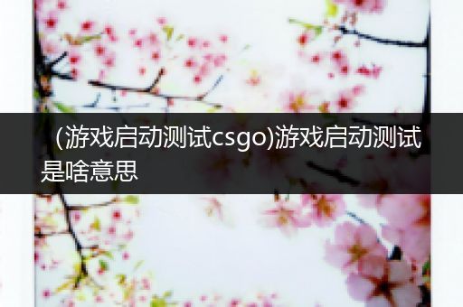 （游戏启动测试csgo)游戏启动测试是啥意思