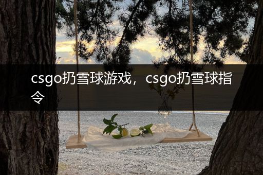 csgo扔雪球游戏，csgo扔雪球指令