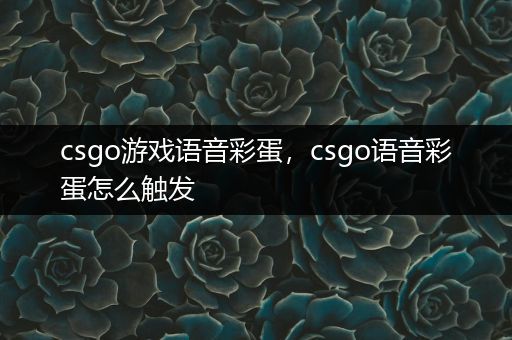 csgo游戏语音彩蛋，csgo语音彩蛋怎么触发