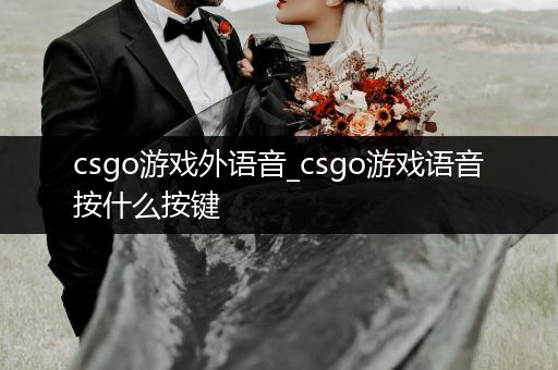 csgo游戏外语音_csgo游戏语音按什么按键