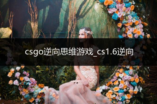 csgo逆向思维游戏_cs1.6逆向
