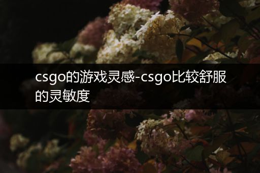 csgo的游戏灵感-csgo比较舒服的灵敏度