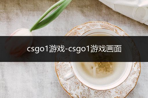 csgo1游戏-csgo1游戏画面