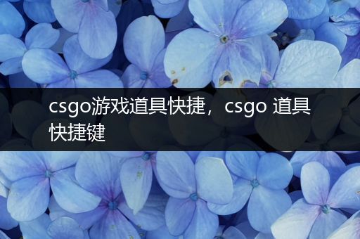 csgo游戏道具快捷，csgo 道具快捷键