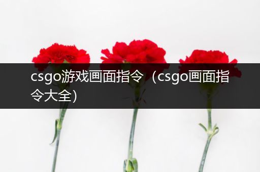 csgo游戏画面指令（csgo画面指令大全）