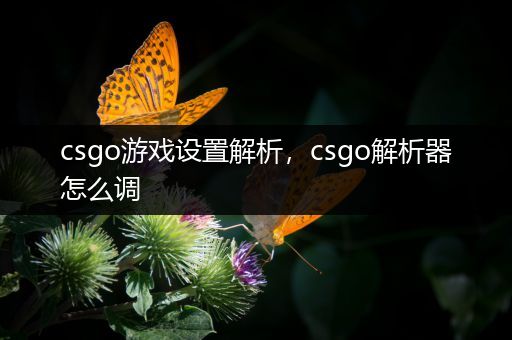 csgo游戏设置解析，csgo解析器怎么调