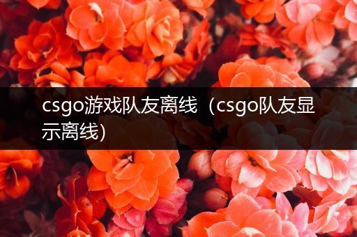 csgo游戏队友离线（csgo队友显示离线）