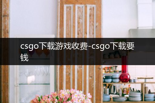 csgo下载游戏收费-csgo下载要钱