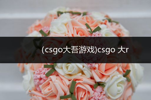 （csgo大吾游戏)csgo 大r