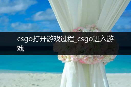 csgo打开游戏过程_csgo进入游戏