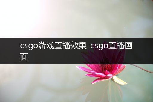 csgo游戏直播效果-csgo直播画面