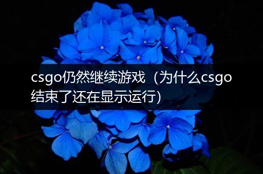 csgo仍然继续游戏（为什么csgo结束了还在显示运行）