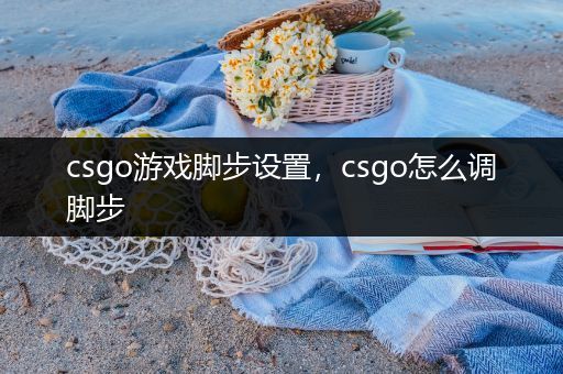 csgo游戏脚步设置，csgo怎么调脚步