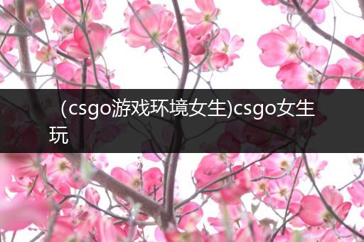 （csgo游戏环境女生)csgo女生玩