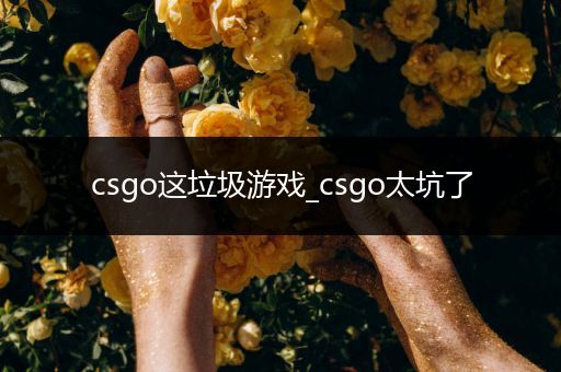 csgo这垃圾游戏_csgo太坑了