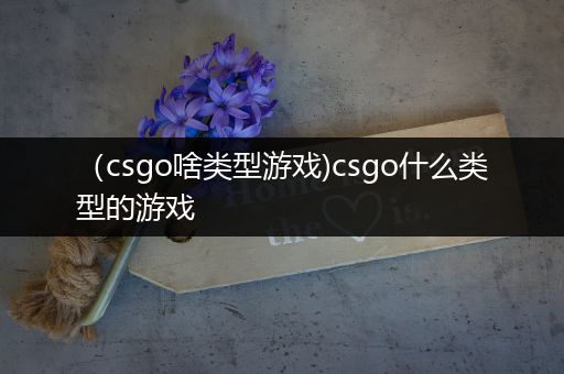 （csgo啥类型游戏)csgo什么类型的游戏