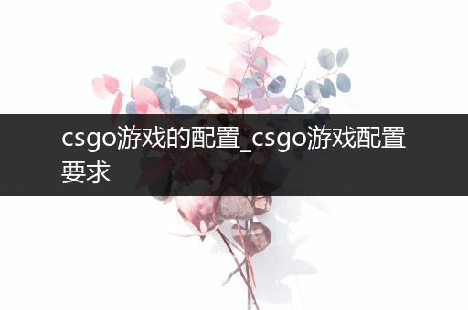 csgo游戏的配置_csgo游戏配置要求