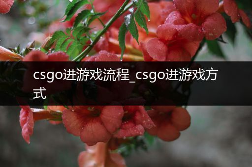 csgo进游戏流程_csgo进游戏方式