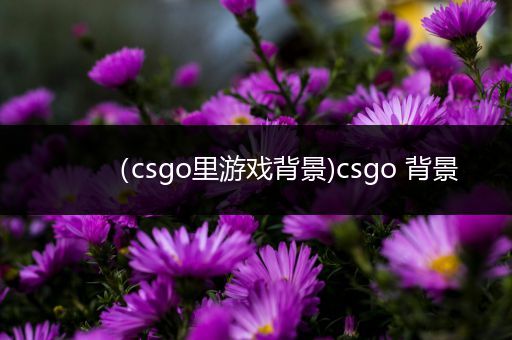 （csgo里游戏背景)csgo 背景