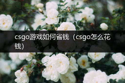 csgo游戏如何省钱（csgo怎么花钱）