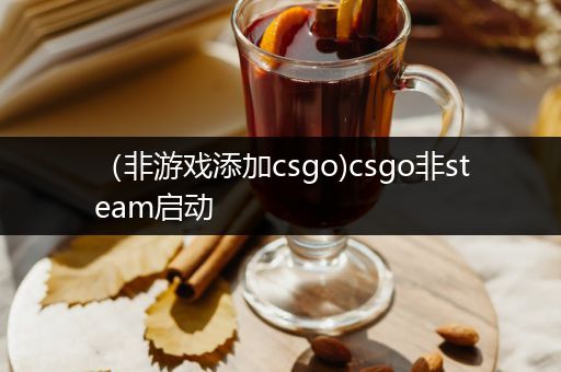 （非游戏添加csgo)csgo非steam启动