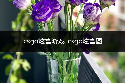 csgo炫富游戏_csgo炫富图