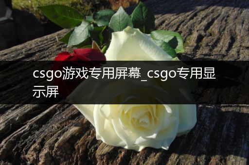 csgo游戏专用屏幕_csgo专用显示屏