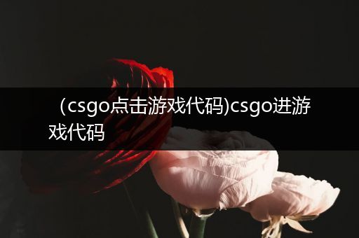 （csgo点击游戏代码)csgo进游戏代码