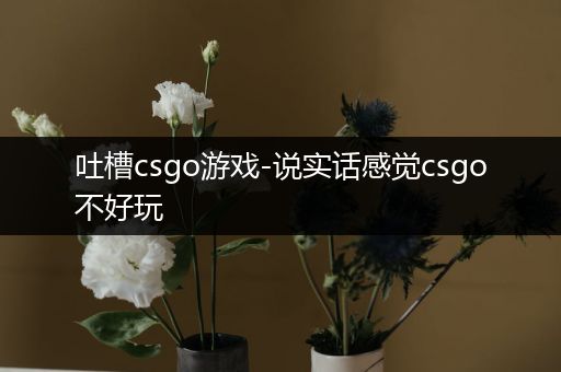 吐槽csgo游戏-说实话感觉csgo不好玩