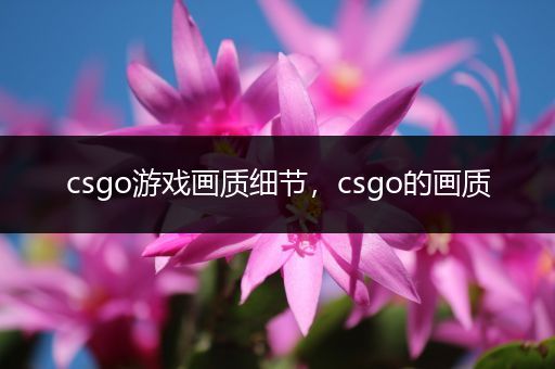 csgo游戏画质细节，csgo的画质