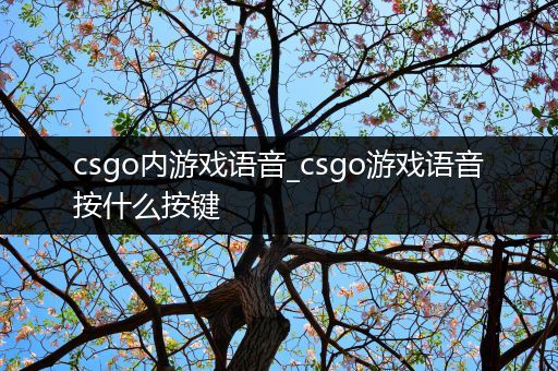 csgo内游戏语音_csgo游戏语音按什么按键