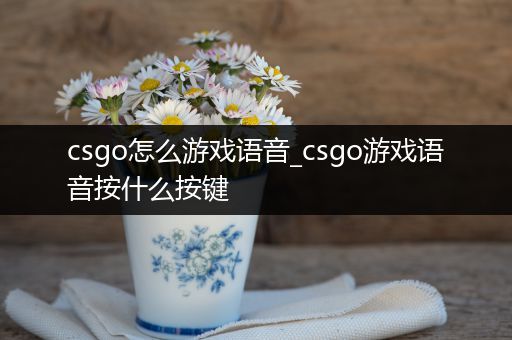 csgo怎么游戏语音_csgo游戏语音按什么按键