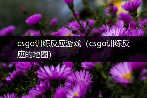 csgo训练反应游戏（csgo训练反应的地图）