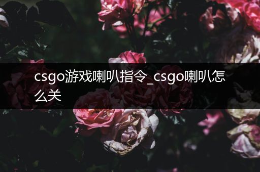 csgo游戏喇叭指令_csgo喇叭怎么关