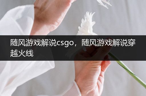 随风游戏解说csgo，随风游戏解说穿越火线