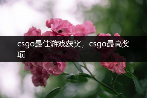 csgo最佳游戏获奖，csgo最高奖项