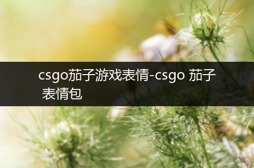 csgo茄子游戏表情-csgo 茄子 表情包