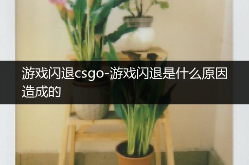 游戏闪退csgo-游戏闪退是什么原因造成的