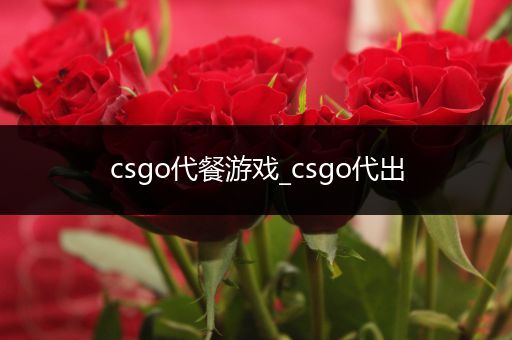 csgo代餐游戏_csgo代出